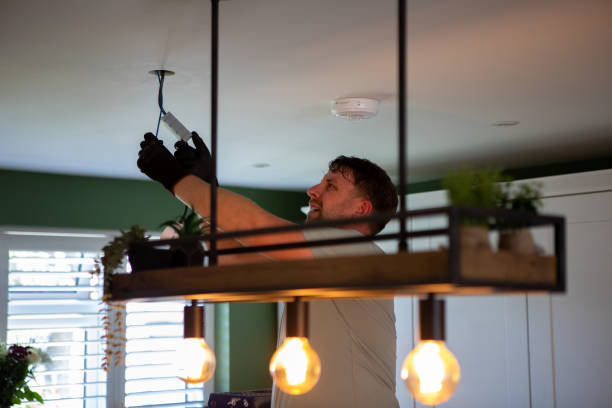 Best Electric Panel Repair  in Cuero, TX